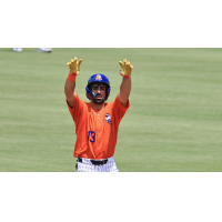 St. Lucie Mets outfielder Sam Biller