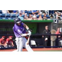 Pensacola Blue Wahoos at the plate
