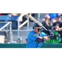 Matthew Ellis of the Everett AquaSox