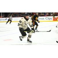 Forward Kristóf Papp with the Iowa Heartlanders