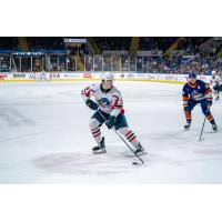 Springfield Thunderbirds forward Dalibor Dvorský