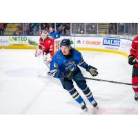 Springfield Thunderbirds forward Aleksanteri Kaskimäki