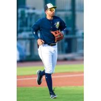 Jose Cerice of the Columbia Fireflies
