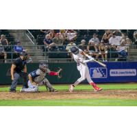 Tri-City Dust Devils at the plate