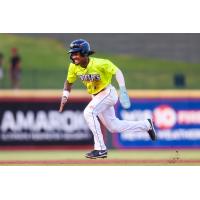 Henry Ramos of the Columbia Fireflies