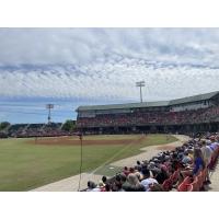 Carolina Mudcats fans enjoy the finale