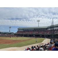 Carolina Mudcats fans enjoy the finale