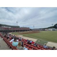 Carolina Mudcats fans enjoy the finale