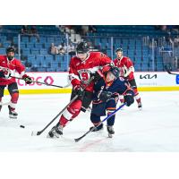 Vancouver Giants centre Adam Titlbach vs. the Kamloops Blazers