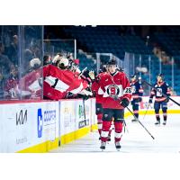 Vancouver Giants centre Cole Brown