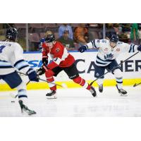Vancouver Giants bring up the puck vs. the Penticton Vees