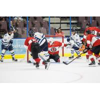 Penticton Vees left wing Louis Wehmann shoots against the Vancouver Giants