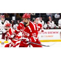 Defenseman Brehdan Engum with Boston University