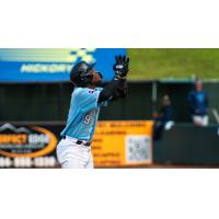 Hickory Crawdads third baseman Esteban Mejia
