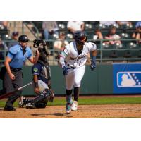 Tri-City Dust Devils outfielder Anthony Scull