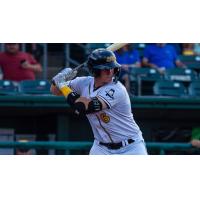 Montgomery Biscuits first baseman Will Simpson
