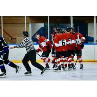 Vancouver Giants gather following a goal against the Victoria Royals