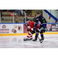 Vancouver Giants vs. the Victoria Royals