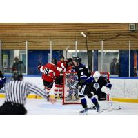 Vancouver Giants celebrate a goal against the Royals