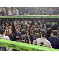 Columbia Fireflies celebrate a playoff series victory