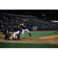 Greensboro Grasshoppers outfielder Titus Dumitru awaits a pitch
