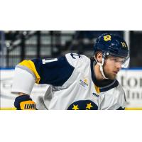 Norfolk Admirals forward Andrei Bakanov
