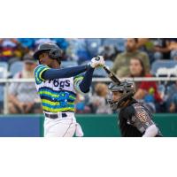Felnin Celesten of the Everett AquaSox
