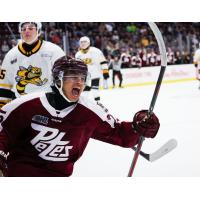 Peterborough Petes' Gerry DiCunzolo on game night