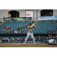 Biloxi Shuckers' Blake Burke at bat