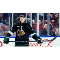 Forward Brayden Nicholetts with the Utah Grizzlies