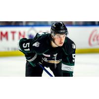 Forward Brayden Nicholetts with the Utah Grizzlies