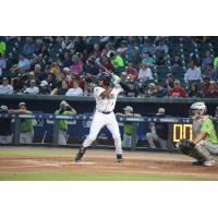 Henry Ramos at bat for the Columbia Fireflies