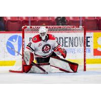Goaltender Josh Banini with the Moose Jaw Warriors