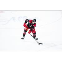 Trevor LeDonne with the Allen Americans