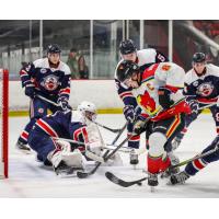 Sean Gibbons of the New Mexico Ice Wolves vs. the Amarillo Wranglers