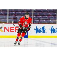 Forward Charlie Hotles with the Niagara IceDogs