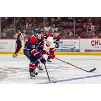 Saginaw Spirit's Dima Zhilkin in action