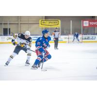 Kitchener Rangers right wing Tanner Lam vs. the Erie Otters