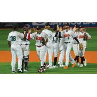 Long Island Ducks exchange congratulations
