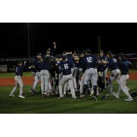 Kane County Cougars rush the field after winning the American Association championship
