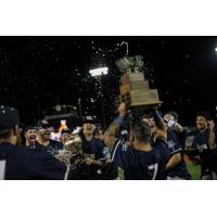 Kane County Cougars celebrate with the Miles Wolff Cup