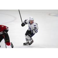 Wenatchee Wild forward Alexandre Andre