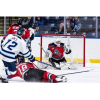 Kelowna Rockets goaltender Nathan Kam