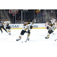Forward Chase McLane with Colorado College