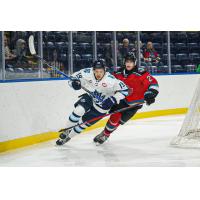 Kelowna Rockets battle the Penticton Vees in preseason action