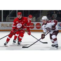 Peterborough Petes left wing Adam Novotný (right) vs. the Soo Greyhounds