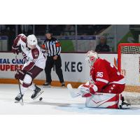 Peterborough Petes left wing Brennan Faulkner (left) vs. the Soo Greyhounds