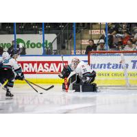 Kelowna Rockets' Josh Banini in action