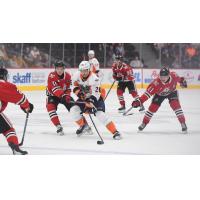 Niagara IceDogs' Ryerson Edgar battles Flint Firebirds' Matthew Wang
