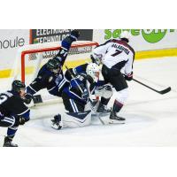 Vancouver Giants right wing Ty Halaburda vs. the Victoria Royals